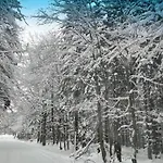 Chaloupka U Kaji * Vítkovice