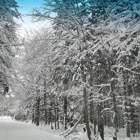 Chaloupka U Kaji * Vitkovice