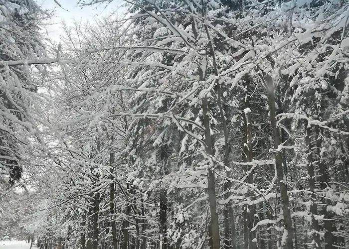 Chaloupka U Káji * Vítkovice